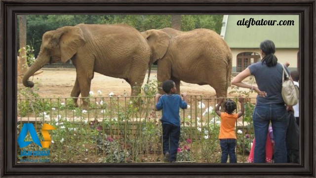 باغ های ملی جانورشناسی آفریقای جنوبی National Zoological Gardens